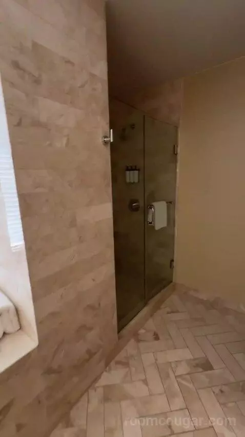 Zen Suite bathroom picture #8