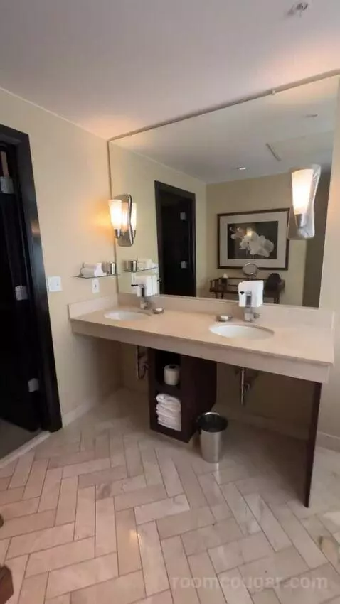 Zen Suite bathroom picture #12
