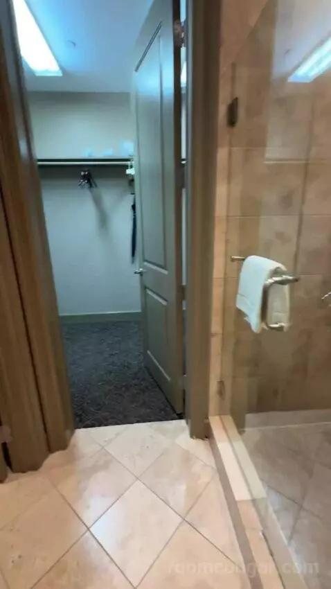 Leonardo Suite bathroom picture #11