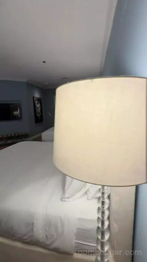 Rendez Vouz Suite bed picture #11