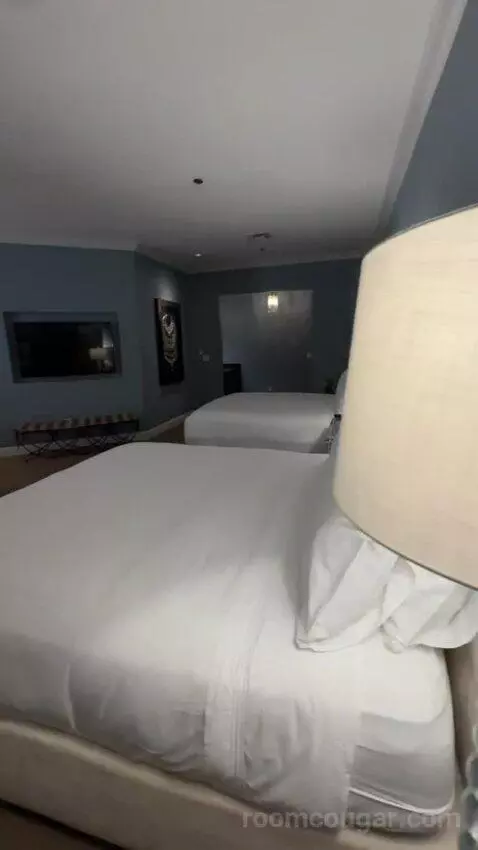 Rendez Vouz Suite bed picture #12