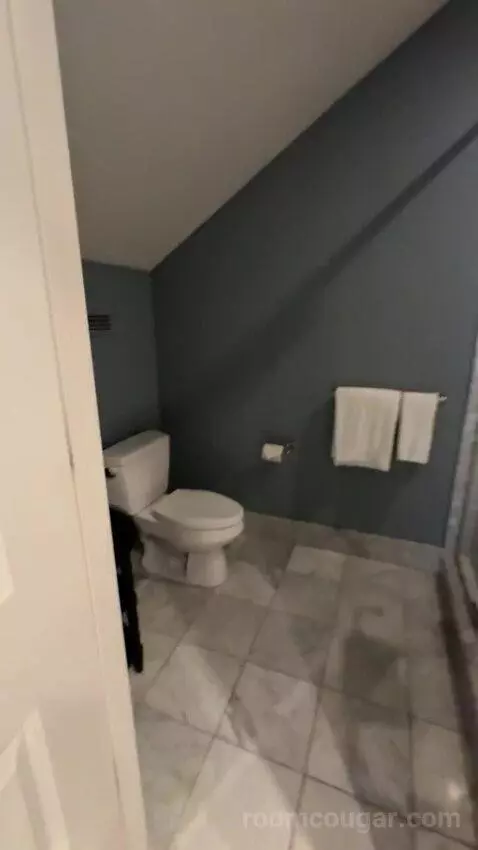Rendez Vouz Suite bathroom picture #7
