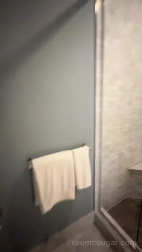 Rendez Vouz Suite bathroom picture #9