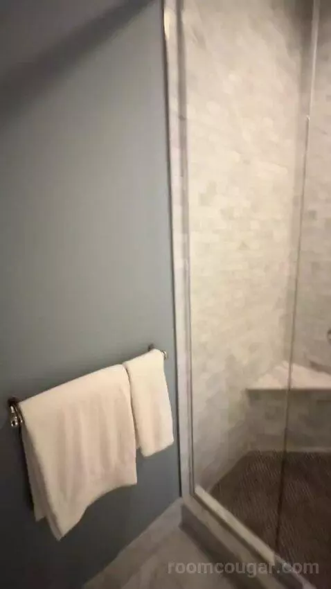 Rendez Vouz Suite bathroom picture #10