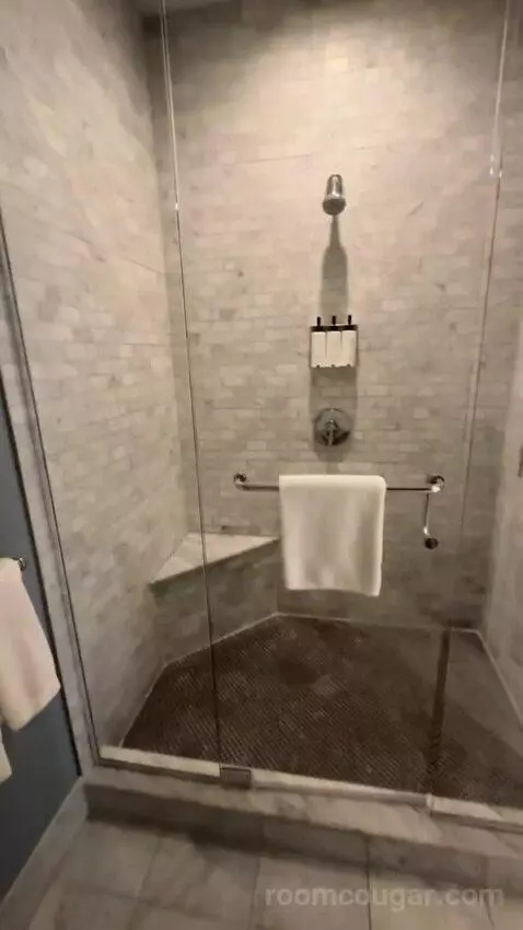 Rendez Vouz Suite bathroom picture #11