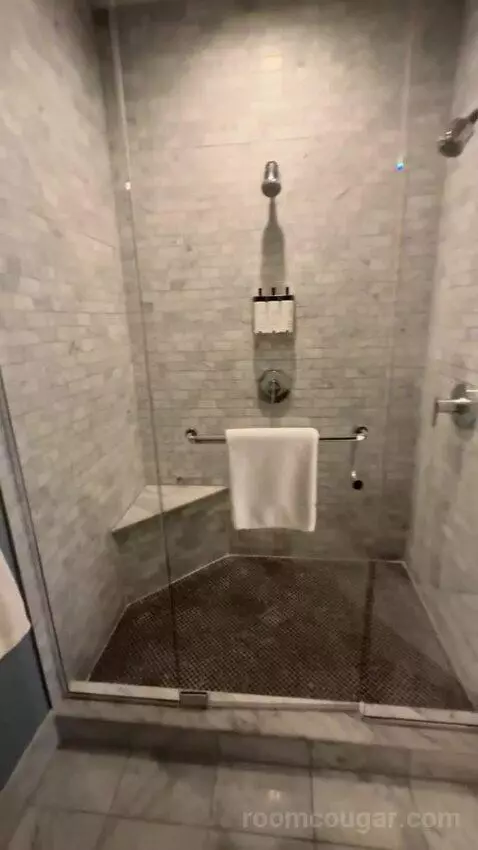 Rendez Vouz Suite bathroom picture #12