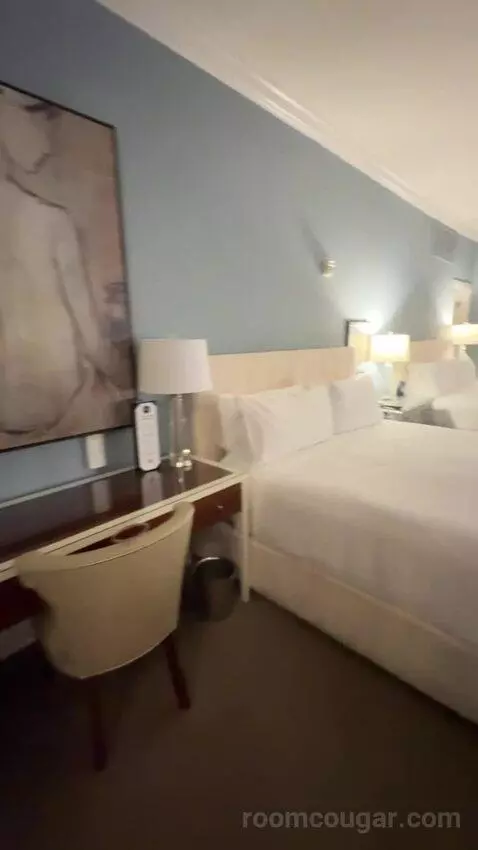 Rendez Vouz Suite bed picture #5