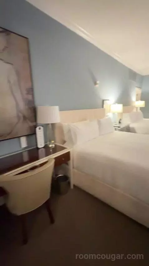 Rendez Vouz Suite bed picture #6