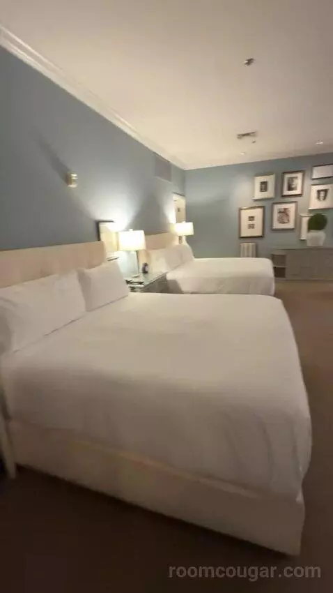 Rendez Vouz Suite bed picture #8