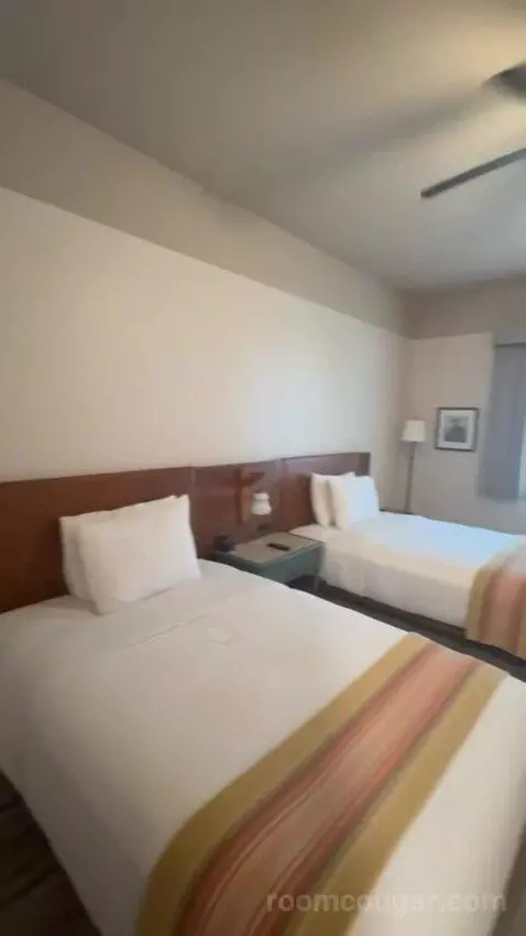 Classic Room with Two Beds bed picture #6