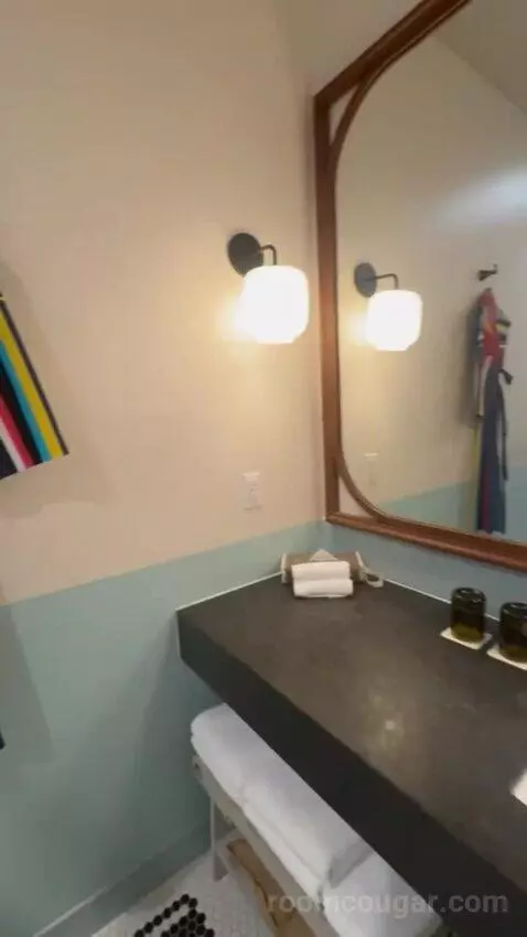 Classic Room with Two Beds bathroom picture #12