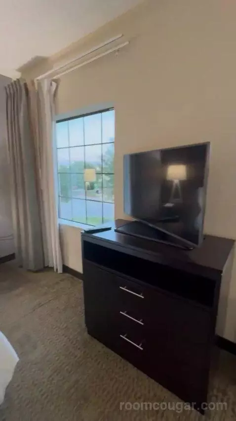 King Studio Suite bed picture #2