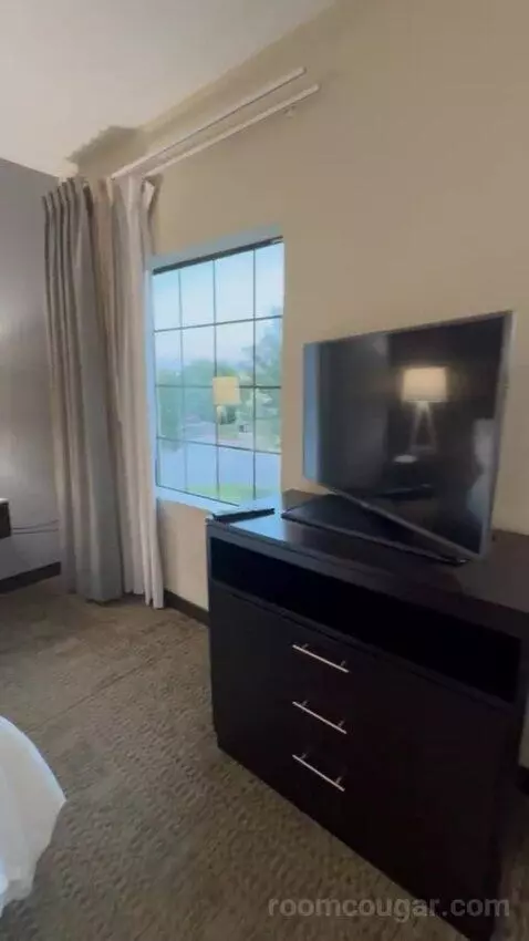 King Studio Suite bed picture #3