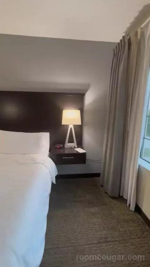 King Studio Suite bed picture #5