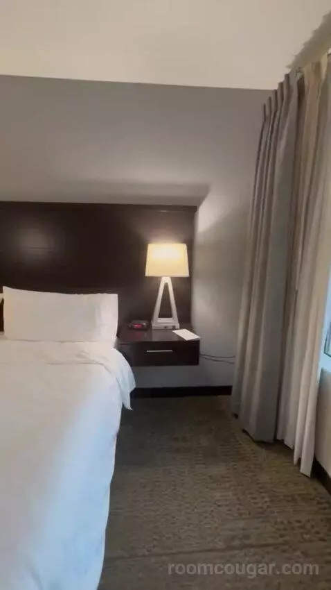 King Studio Suite bed picture #6