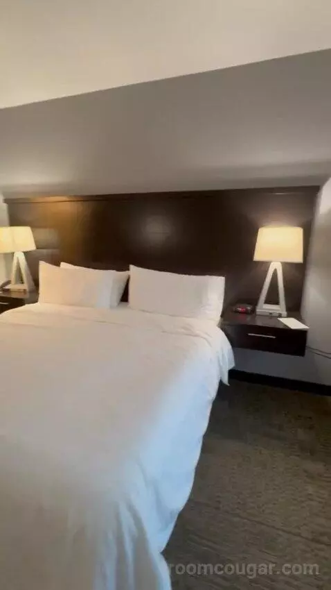 King Studio Suite bed picture #7