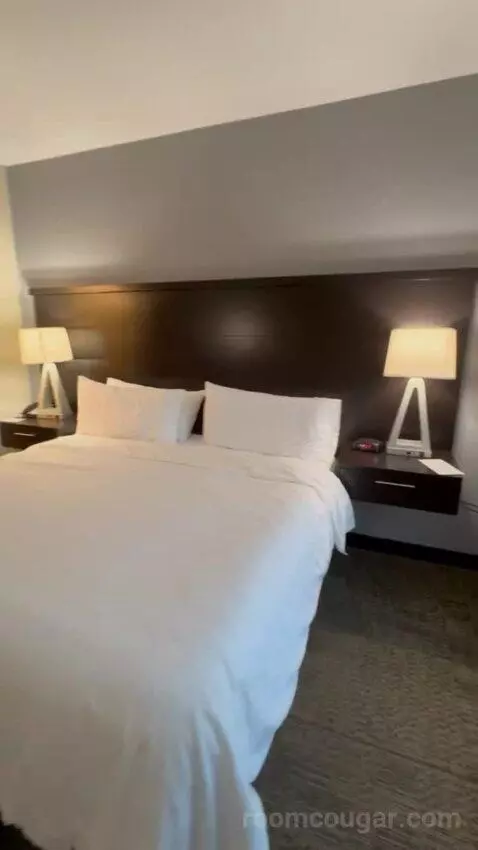 King Studio Suite bed picture #8