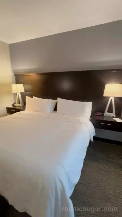 King Studio Suite bed picture #9
