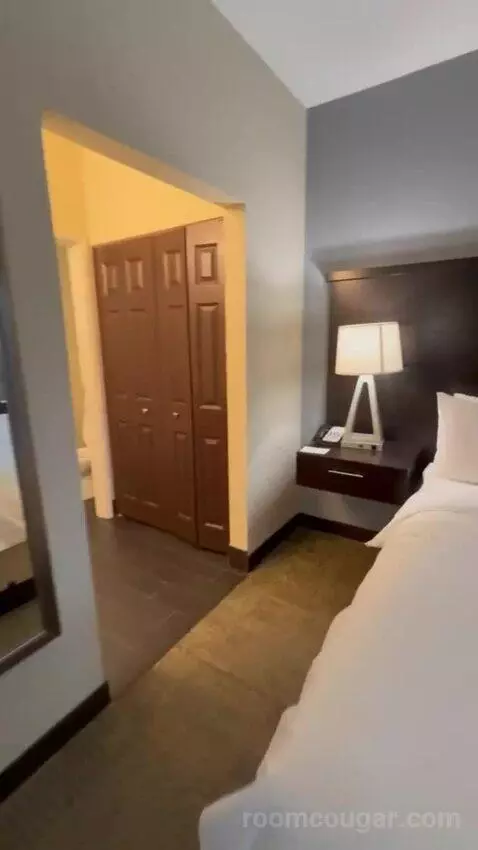 King Studio Suite bed picture #10