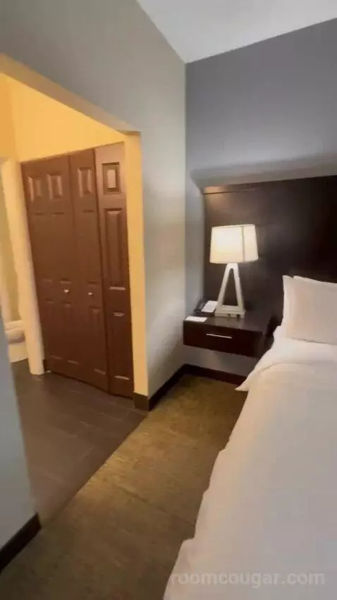 King Studio Suite bed picture #11