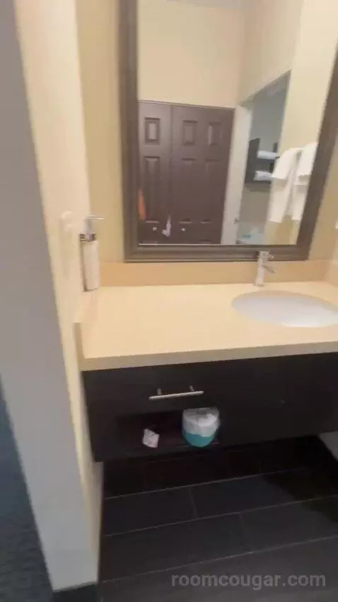 King Studio Suite bathroom picture #5
