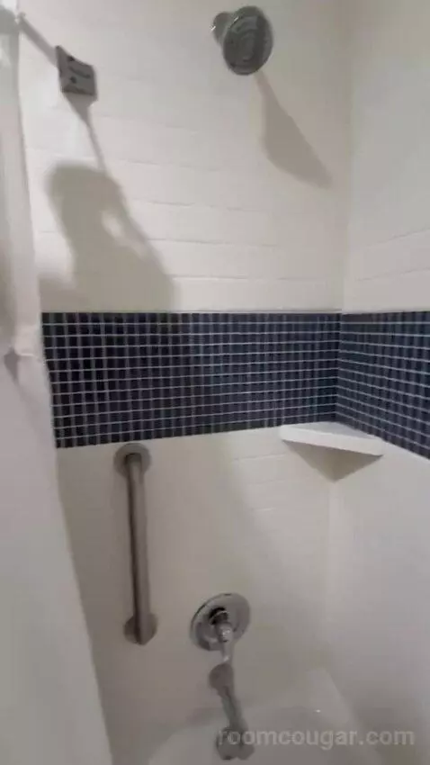 King Studio Suite bathroom picture #9