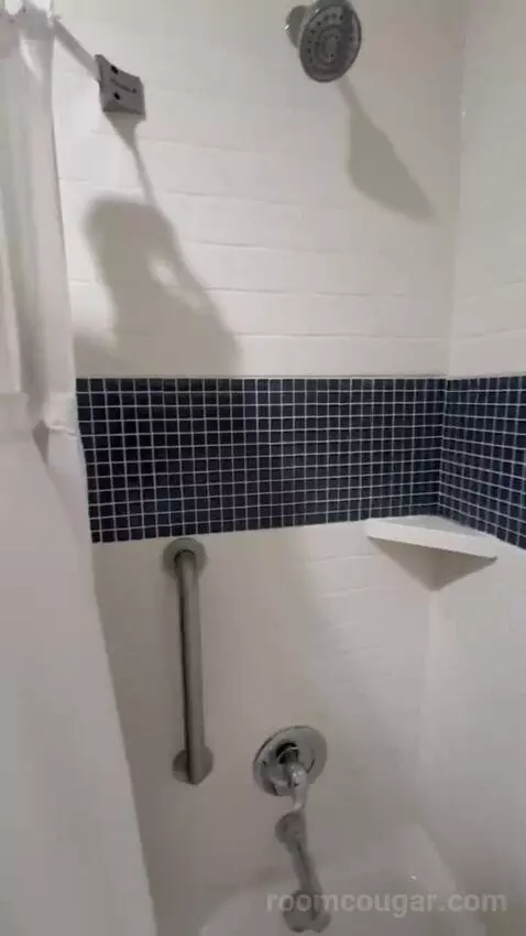 King Studio Suite bathroom picture #10