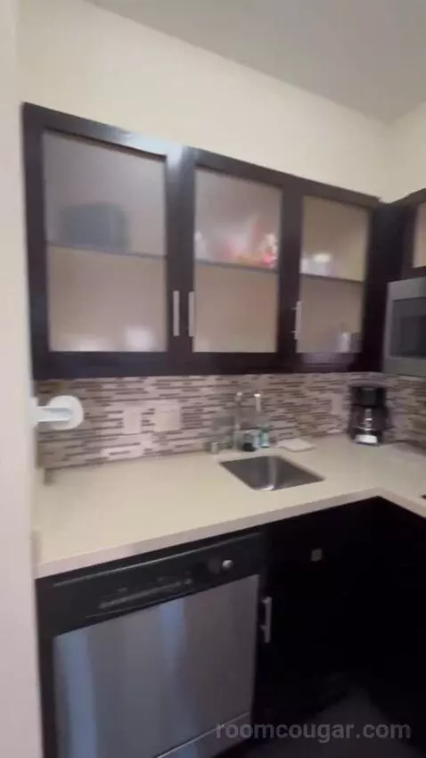 King Studio Suite bathroom picture #1