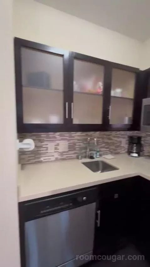 King Studio Suite bathroom picture #2