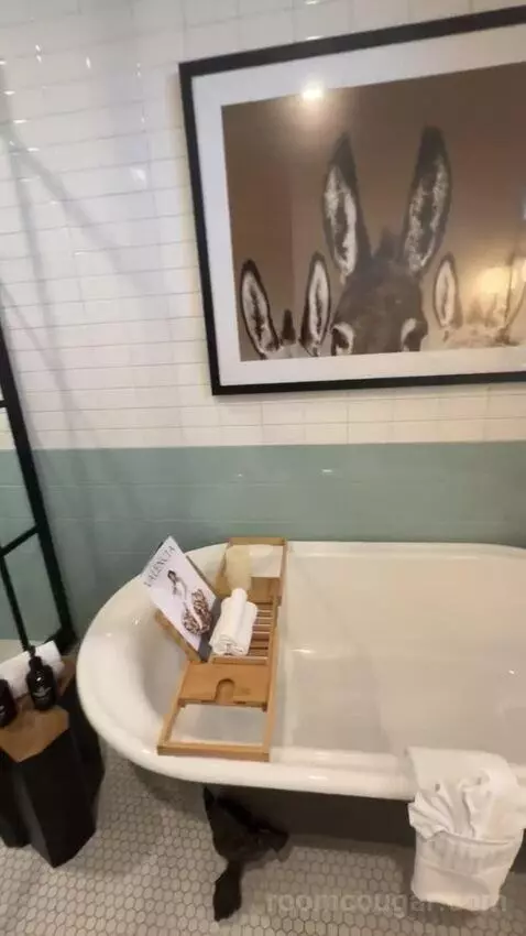 Presidential Suite bathroom picture #3