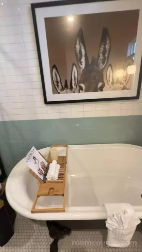 Presidential Suite bathroom picture #4
