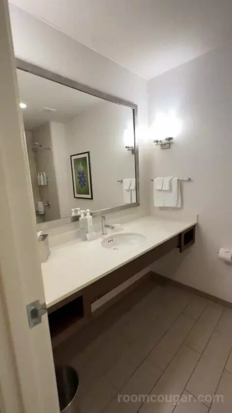 One-Bedroom King Suite with Sofa Bed bathroom picture #1