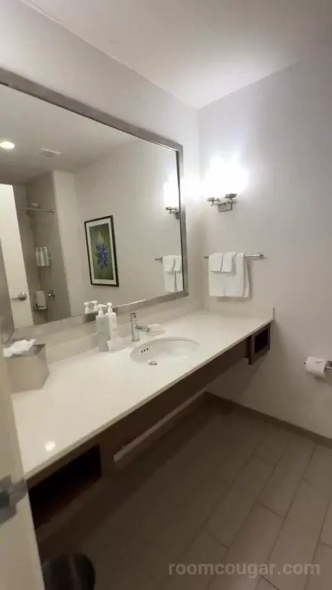 One-Bedroom King Suite with Sofa Bed bathroom picture #2