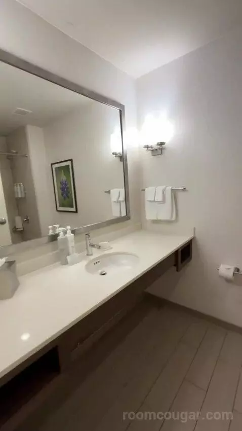 One-Bedroom King Suite with Sofa Bed bathroom picture #3