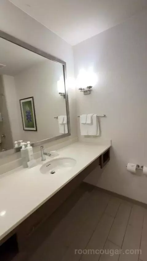 One-Bedroom King Suite with Sofa Bed bathroom picture #4