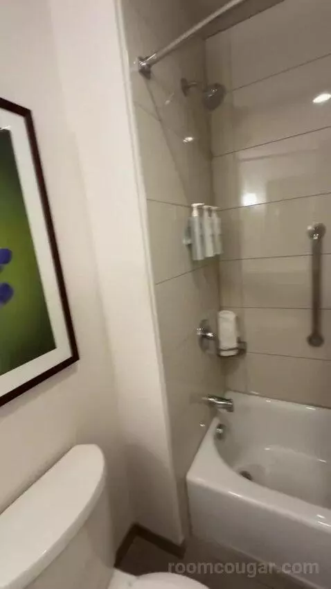 One-Bedroom King Suite with Sofa Bed bathroom picture #6