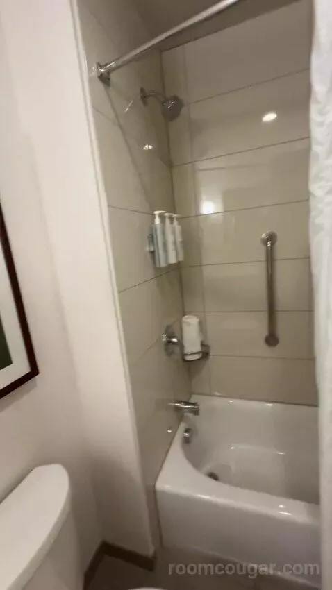 One-Bedroom King Suite with Sofa Bed bathroom picture #7