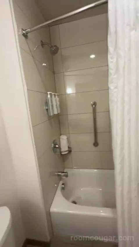 One-Bedroom King Suite with Sofa Bed bathroom picture #8