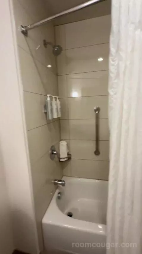 One-Bedroom King Suite with Sofa Bed bathroom picture #9
