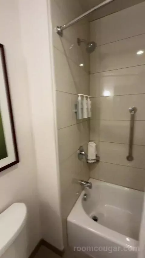One-Bedroom King Suite with Sofa Bed bathroom picture #10