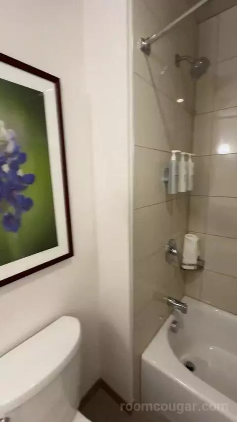 One-Bedroom King Suite with Sofa Bed bathroom picture #11