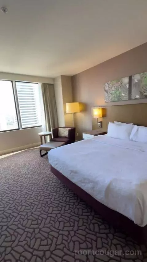 One-Bedroom King Suite with Sofa Bed view picture #1