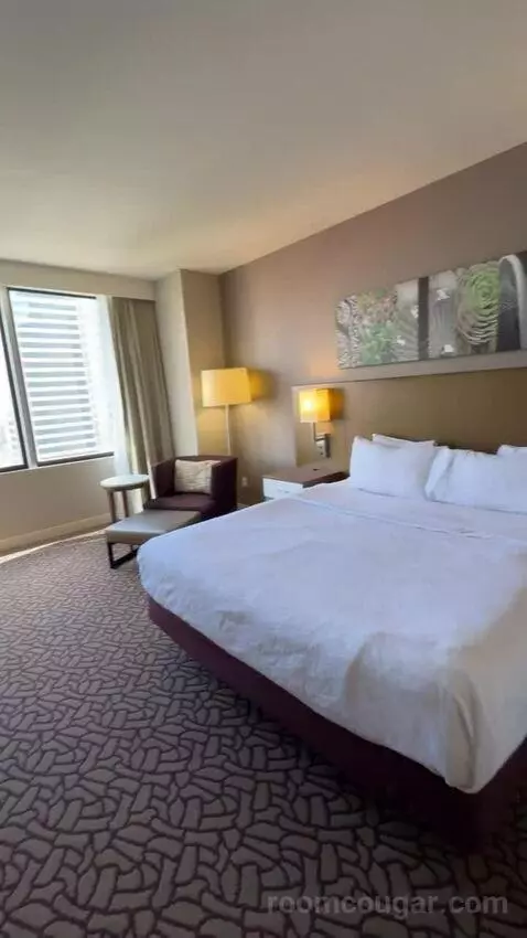 One-Bedroom King Suite with Sofa Bed view picture #2