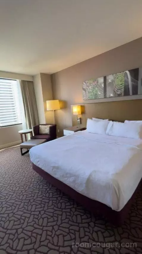 One-Bedroom King Suite with Sofa Bed view picture #3