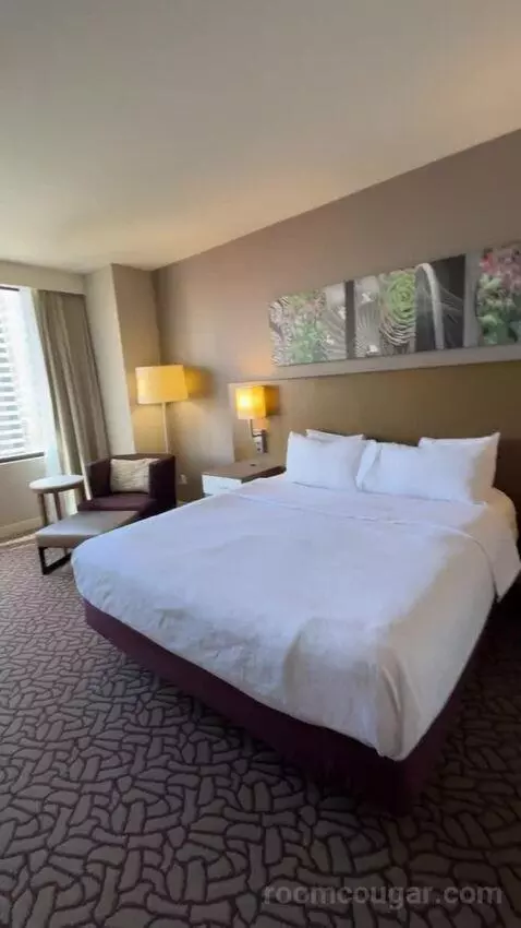 One-Bedroom King Suite with Sofa Bed view picture #4