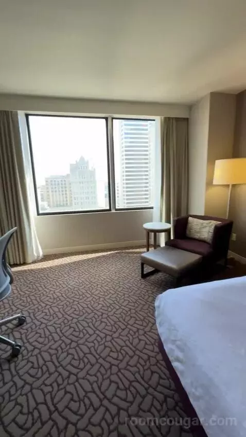 One-Bedroom King Suite with Sofa Bed bed picture #4