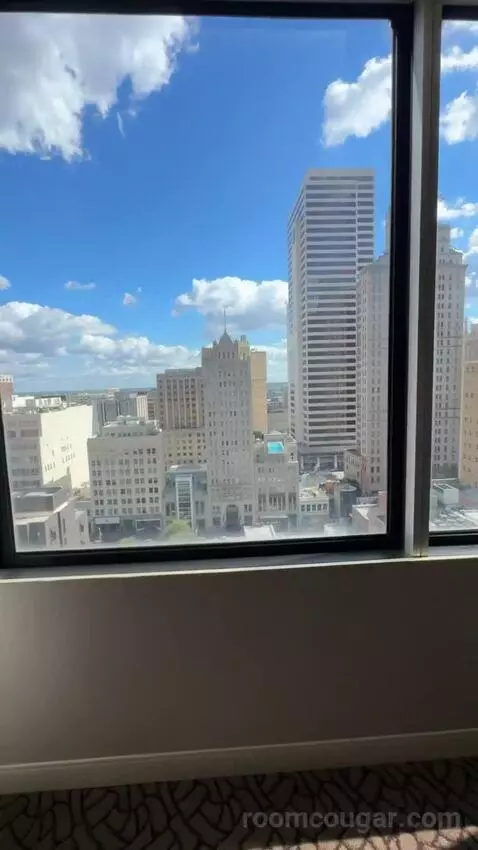 One-Bedroom King Suite with Sofa Bed view picture #6