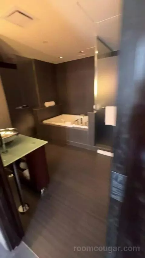 Joule Suite bathroom picture #1