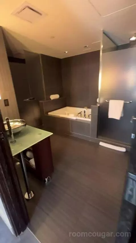 Joule Suite bathroom picture #2
