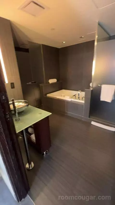 Joule Suite bathroom picture #3